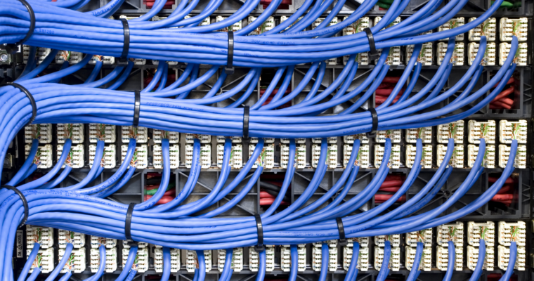 Close-up of blue Ethernet patch cables neatly bundled and connected to a network patch panel