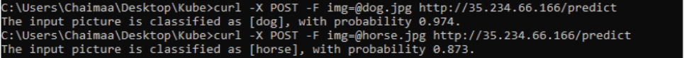 Test API: Input picture is classified